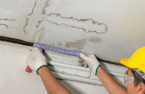 Reliable Water Damage Repair contractor in Plainfield, MA by Aqua Guard Water Damage